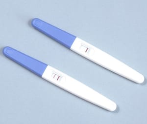 Flutter application testing